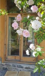 Tara vegetarian retreat guesthouse