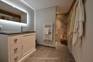 Bergerie with large swimming pool