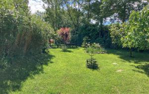 Maisons de vacances Amazing Home In St-Privat-Des-Vieux : photos des chambres
