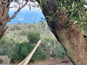 Casa Tereza - 朗戈斯