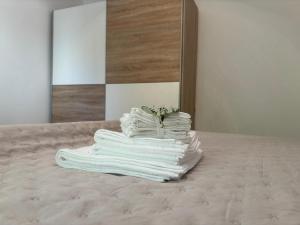 Apartment in Raslina - Frane 