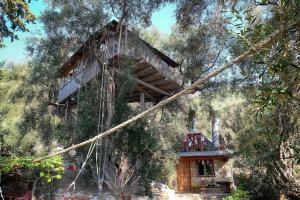 Margaritiss Treehouse