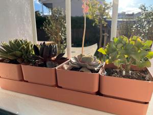 Appartement deux pièces donnant sur un jardin