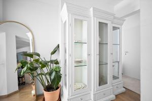 City Vibe Villa with pool