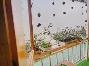 Đà Lạt 2019 Homestay