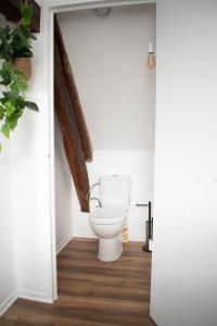 Appartements Le Nid Douillet - Hypercentre - Studio : photos des chambres