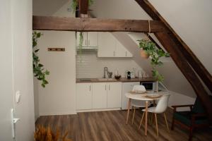Appartements Le Nid Douillet - Hypercentre - Studio : photos des chambres