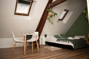 Appartements Le Nid Douillet - Hypercentre - Studio : photos des chambres