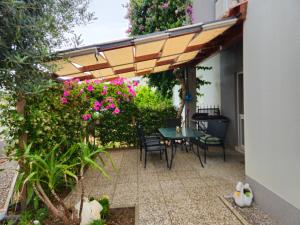 By Osibov Silverfish & Goldenfish