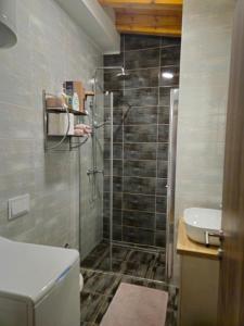 By Osibov Silverfish & Goldenfish