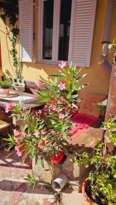 Apartman Kristina 