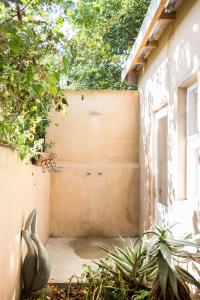 Emily Moon River Lodge