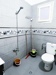 Entire House with private Rooftop