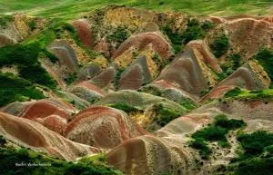 Colourful Udabno - Karayazy