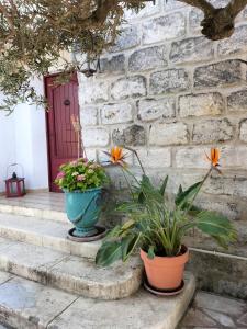 Maisons de vacances Charmant appart avec jardin : photos des chambres