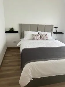 Apartment Magnolia gallery - Zemun Polje