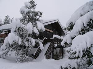 Chalets Chalet la Moucherolle : photos des chambres