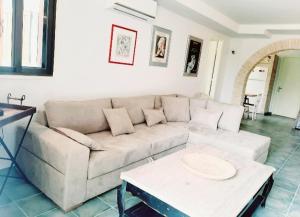 Lefkada Elis amazing beach house