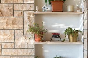 Dalma Apartment For Families And Friends