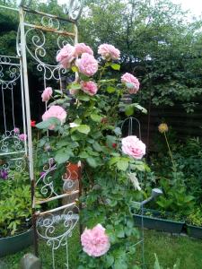 Ferienwohnung Nordseeliebe, Urlaub für Familie und mit Hund