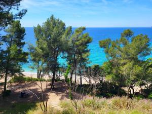 Studio à 400 m de la plage
