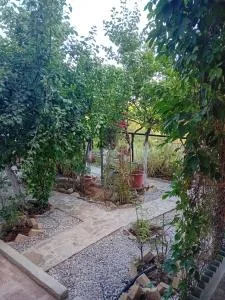 Vasiliki - Sikáminon