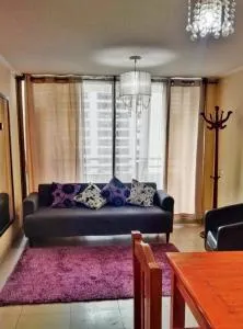 Arriendo Departamento a Turistas en Santiago - 埃尔卡内洛
