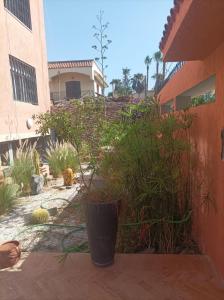 Grand appartement 3 chambre