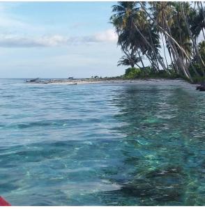 Tamasha tour banyak islands