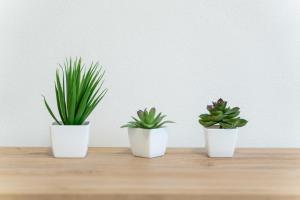 Appartamento Koral img6