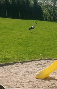 Zacisze Pod Orzechem