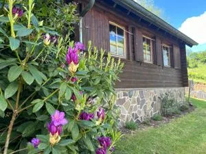 Blockhütte Engeln-Eifel - Hohenleimbach