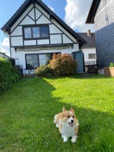 Eifel Ferienhaus Luna