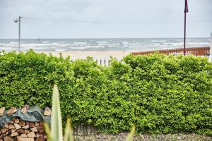 Maisons de vacances Charmante maison de bord de mer : photos des chambres