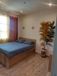 Villas VILLA BELLA avec piscine et jacuzzi : photos des chambres