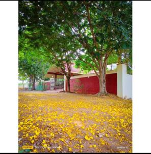 Ashirwad Home Stay , Rustic , 2 bedroom Villa amidst peacocks