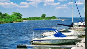 Appartements Suites Kerlarros Clim et Parking face Gare et Port : photos des chambres