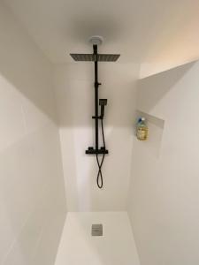 Collinette des Lecques