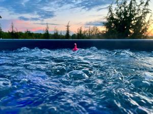 Sadama Willa with private mini SPA