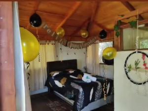 Entre Rocas y Cristales