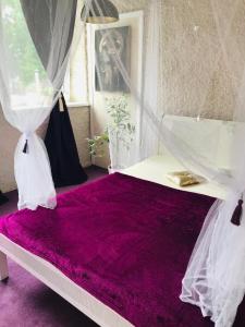 VIOLET Apartament