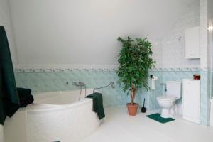 Wypoczynek wśród natury na Mazurach z widokiem na zachody słońca