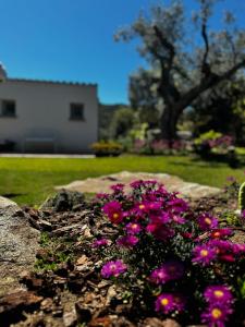 Autentico stazzo gallurese del 1907