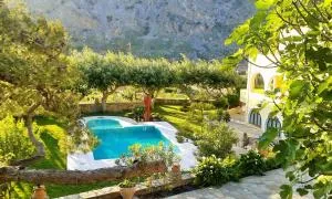 Petrinos Milos - Dhrímiskos