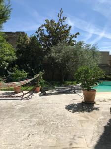 Maisons de vacances Thebertisa : photos des chambres