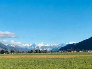 Appartements Appartement belle vue sur les montagnes : photos des chambres