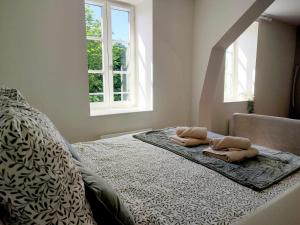 Vue basilique, au cœur de la vieille ville