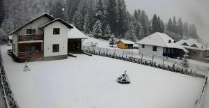 Voronet Retreat