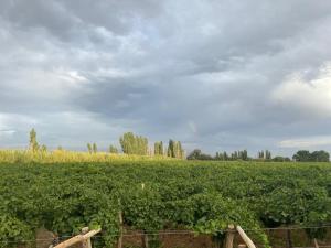 Tres Marías Alto de Sierra San Juan