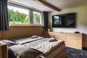 Luxusní Apartmán Domovjanka - SKALKA FAMILY